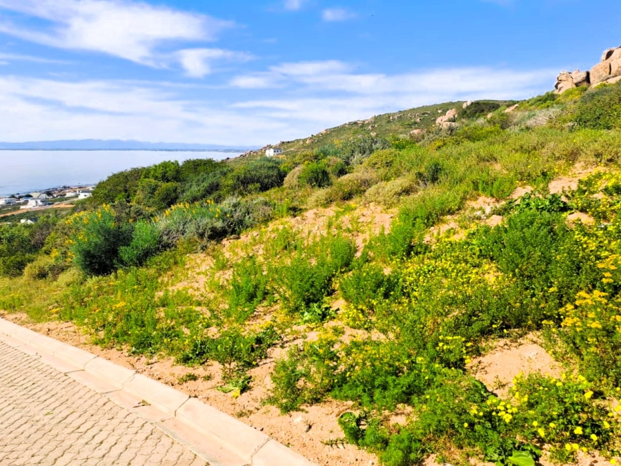 0 Bedroom Property for Sale in Steenbergs Cove Western Cape
